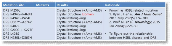 HSBL 질병과 관련된 DRS 유전자 돌연변이 구축
