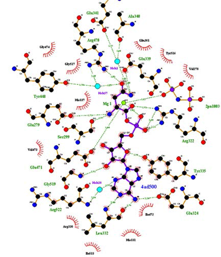 NRS-asparaginyl adenylate 결합 상태