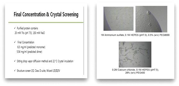 AIMP2-DX2-34SC 단백질의 결정화 과정