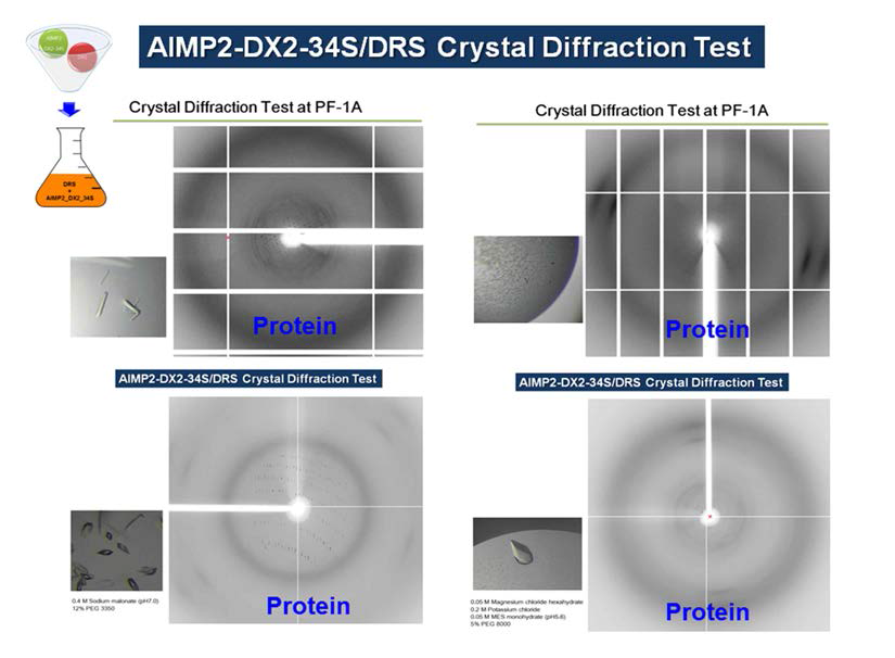 AIMP2-DX2-34S/DRS complex 단백질 결정의 회절자료