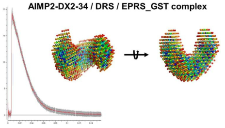 AIMP2-DX2-34S/DRS_21-501/EPRS_GST complex 단백질의 SAXS 결봐