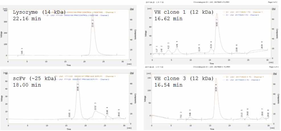 VH 도메인 항체의 SEC 분석. 비교를 위하여 hen egg while lysozyme과 scFv의 SEC 결과가 함께 제시됨