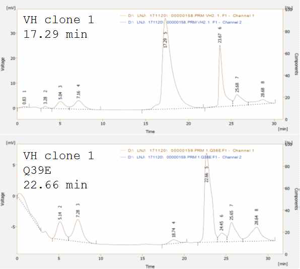 VH clone 1 및 VH clone 1 Q39E mutant의 SEC 분석. Major peak가 각각 17.29분, 22.66분으로 나타났으며 Q39E mutation으로 인하여 dimer 형성이 저해되는 것으로 해석됨