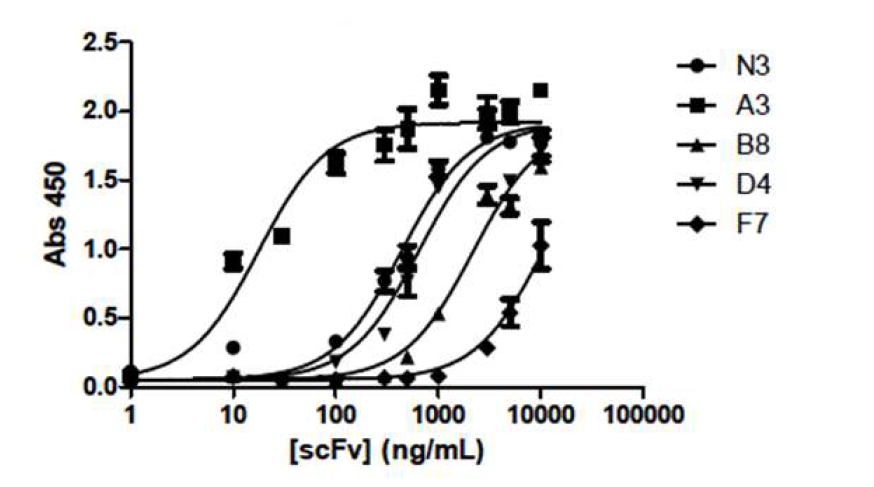 항 KRS 항체 N3의 친화도 향상을 serial dilution ELISA로 평가함. N3 유래 항체들 중 A3 (맨 왼쪽 곡선)가 향상된 결합력을 나타내고 있음