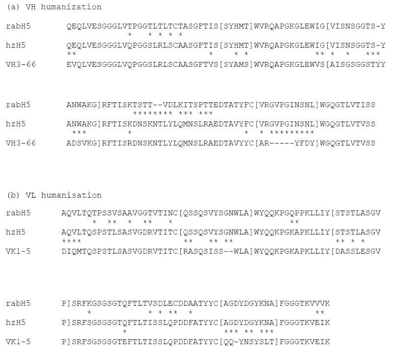 H5 VH (a)와 VL (b)의 humanization. RabH5: the original rabbit Ab H5; hzH5: humanized H5; VH3-23: human germline VH3-23 with JH4; VK1-5: human germline VK1-5 with JK4. 서열 사이의 asterisk(*)는 두 서열 사이의 상이한 부분을 나타냄