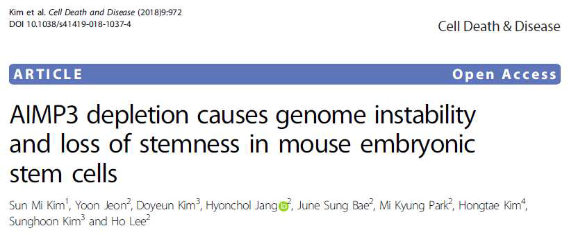 마우스 배아줄기세포에서 AIMP3 역할을 규명하여 발표한 논문. Cell Death Disease 2018