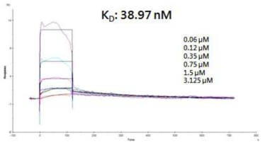 BC-LI-0090 화합물의 LRS 결합에 대한 SPR 결과