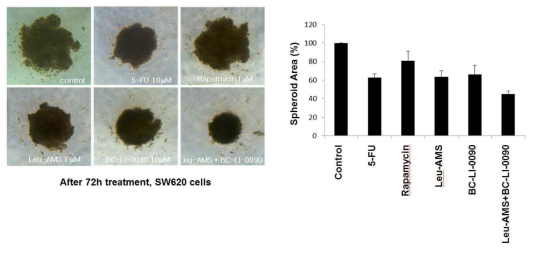 BC-LI-0090 화합물의 SW620 3차원 spheroid에 대한 억제 효과