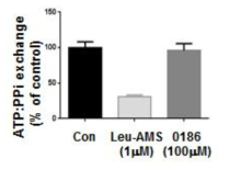 BC-LI-0186 화합물의 ATP-PPi exchange activity에 대한 효과