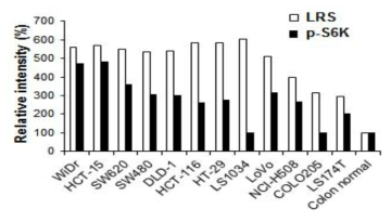 13종 대장암 세포주에서 LRS 발현과 약물반응의 상관관계