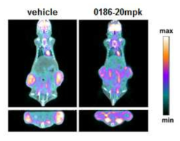 BC-LI-0186의 항암 효능 PET 분석 결과
