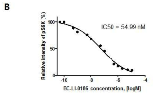 NIH3T3/mTOR L2427P cell에서 BC-LI-0186의 IC50결과 측정