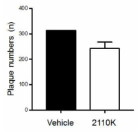 치매 마우스 모델에서 2110K 투여에 의한 amyloid-beta palque 감소 효과