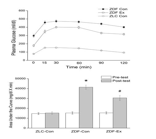 Effect of 12 weeks of treadmill exercise on glucose tolerance in diabetic rats. (A) Blood glucose concentration was measured at various time points after dextrose (2 g/kg) treatment. (B) Area under the curve of IPGTT was calculated for quantified compare. *p<0.05 compared with ZLC-Con group, and #p<0.05 compared with ZDF-Con group. Values are mean ± S.E.M. for n=8 in each group