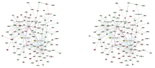 Molecular network underlying hepatic response to high-fat diets (left: day 3, right: week 12)