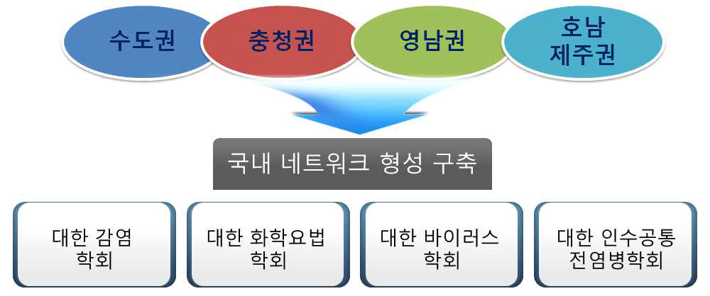 국내 네트워크 형성 구축