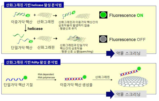 산화그래핀 기반의 바이러스성 효소인 helicase와 RNA dependent RNA polymerase의 활성 분석 플랫폼