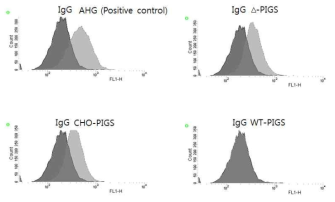 cEDIII-PIGS와 cEDIII-ERICs 단백질의 Fc 수용체 결합 반응 분석