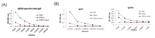 항원(cEDIII) 특이적 IgG 항체 유도 반응 분석. (A) 전체 IgG 항체분석. (B) IgG isotype 분석