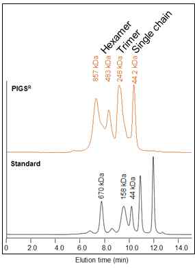 RicePIGS의 분자구조를 고속 액체 크로마토그래피(HPLC)로 분석