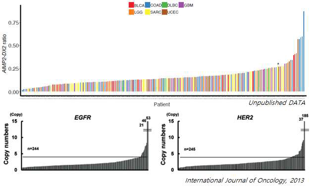 AIMP2-DX2 의 발현 ratio 와 EGFR/HER2 amplification 비교