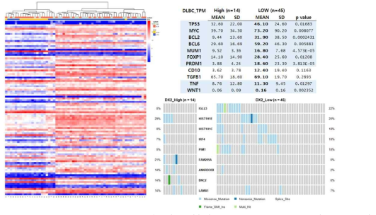 DLBC_ quartile, AIMP2_DX2 FPKM 기준 (n=59)(좌), AIMP2-DX2 발현량에 따른 신호전달 단백질 발현량의 차이 (우,상), AIMP2-DX2발현량에 따른 mutation profiling (우,하)
