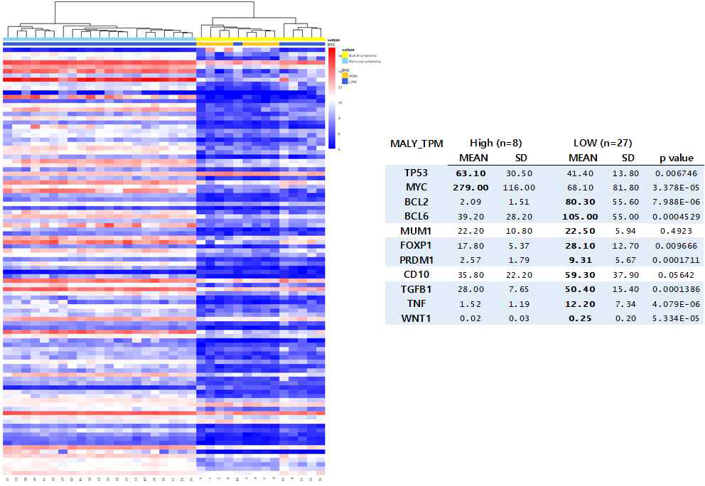 BL과 FL의 DEG 분석 (좌), 주요 신호전달단백질의 발현량 분석(우)