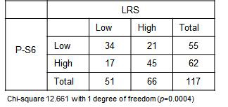 LRS, P-S6 발현에 따른 분류표