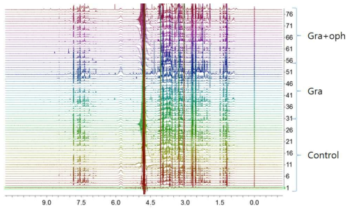 NC 및 그레이브스 환자의 urine 1H NMR 스펙트럼