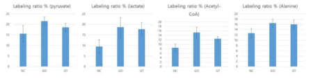 Glycolysis 산물의 13C labeling 효율 비교