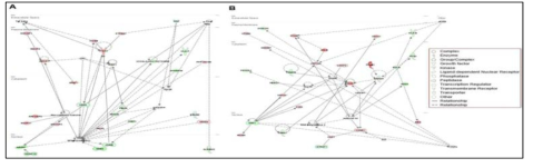 발현 변화된 유전자 간의 상호 연관 네트워크(코카인 vs. 대조군)