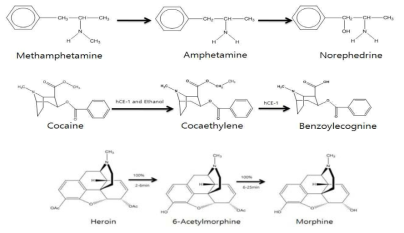마약류 3종(Methamphetamine, Cocaine, Heroin) 및 대사체(Amphetamine, Norephedrine, Benzoylecgonine, 6-Acetylmorphine, Morphine)