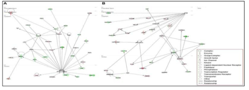 발현 변화된 유전자 간의 상호 연관 네트워크(헤로인 vs. 대조군)