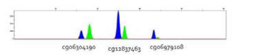 A representative electropherogram of age prediction in semen using multiplex methylation SNaPshot