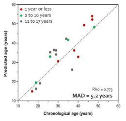 Age prediction using sperm DNA obtained from 19 sexual assault casework samples from National Forensic Service. Age prediction function and a representative electropherogram of the multiplex methylation SNaPshot for semen age prediction was shown in the right
