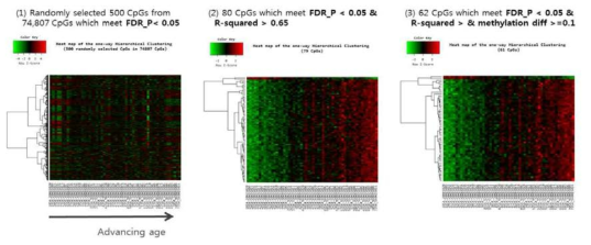 Heatmap of DNA methylation and hierarchical clustering of 54 saliva samples for selected CpGs is presented