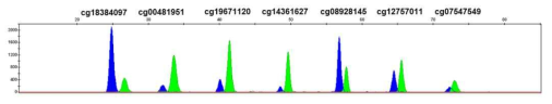 A representative electropherogram to analyze 7 CpG markers