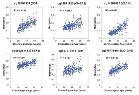 Correlation between age and methylation at 6 CpG sites in 226 saliva samples