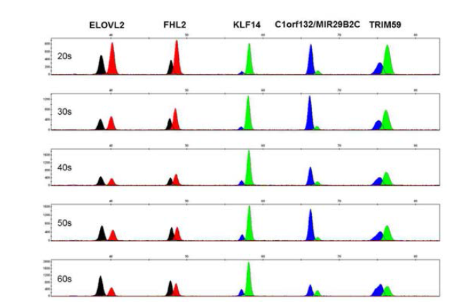 Representative electropherograms of age prediction using 5 CpGs from bloods of individuals in their 20s, 30s, 40s, 50s and 60s