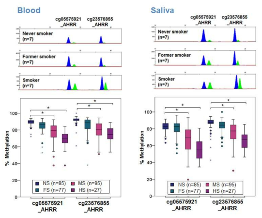 Electropherograms of a duplex methylation SNaPshot reaction to detect smoking-associated DNA methylation changes at 2 CpGs of the AHRR gene