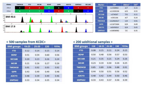 Electopherograms of SNaPshot multiplex for 8 BMI-associated SNPs and their effect allele frequencies in 700 Korean blood samples