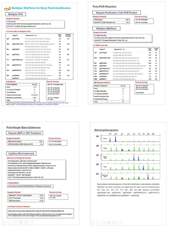 Protocol for SNaPshot multiplex for body fluid identification