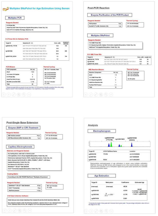 Protocol for SNaPshot multiplex for age prediction of semen