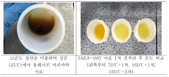 고순도 질산을 이용해 용해시킨 머리카락 상태