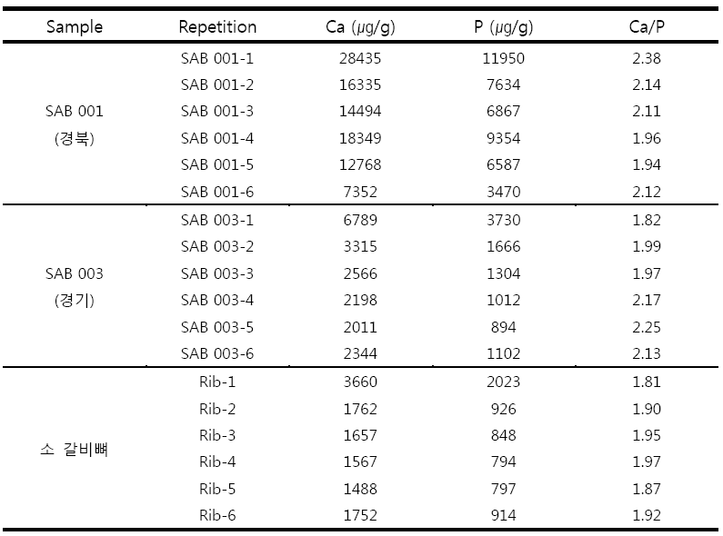 뼈 용출 단계에 따른 Ca, P (㎍/g) 농도 및 Ca/P 비 확인