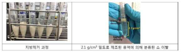 뼈시료 전처리