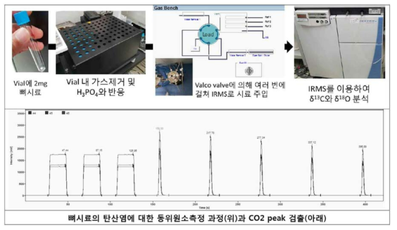 뼈 시료의 탄산염 동위원소 측정과 CO2 검출 peak