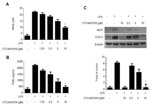 The effects of compound 8 (CTC4421016; cudraflavanone D) on the protein expression of iNOS and COX-2 (C) in BV2 microglia stimulated with LPS. Cells were pre-treated for 3 h with the indicated concentrations of compound 8 and then stimulated for 24 h with LPS (1 μg/mL). The data represent the mean values of 3 experiments ± SD. *p < 0.05 compared with the group treated with LPS
