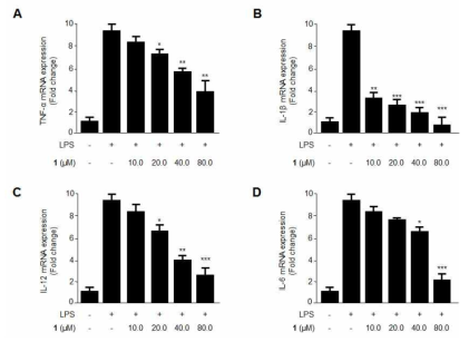 The effects of steppogenin (1) on TNF-α (A), IL-1β (B), IL-12 (C), and IL-6 (D) mRNA expression stimulated with LPS. Cells were pre-treated for 3 h with the indicated concentrations of 1 and then stimulated for 12 h with LPS (1 μg/mL). The data represent the mean values of 3 experiments ± SD. *p < 0.05 compared with the group treated with LPS