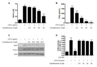 Effect of cudraflavanone A on LPS-induced nitrite (A) and PGE2 (B) production, iNOS and COX-2 protein expression (C), and COX-2 enzyme activity (D) in BV2 cells. (A, B, and C) Cells were pretreated with/without the indicated concentration of cudraflavanone A for 3 h and then stimulated with LPS (1 μg/mL) for 24 h. ***p < 0.001 in comparison with LPS-treated group. Representative blots from three independent experiments are shown. (D) COX-2 enzyme was treated with the indicated concentrations of cudraflavanone A for 5 min. DuP-697 was used as positive COX-2 inhibitor controls. Values shown are means ± SD of three independent experiments. ***p < 0.001 in comparison with COX-2 enzyme treated group